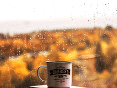 下雨想念一个人的暖心说说 绵绵细雨思念一个人的短句